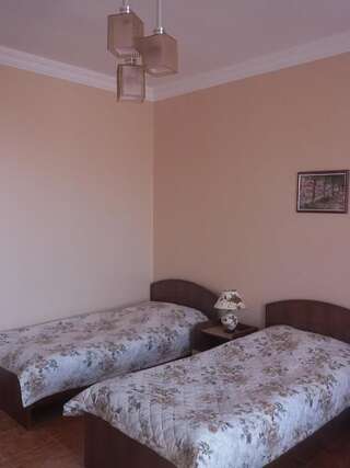 Отель Отель Саване Кобулети Двухместный номер с 2 отдельными кроватями-1