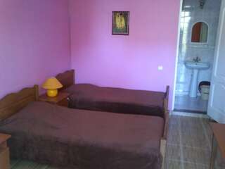 Отель Отель Саване Кобулети Двухместный номер с 2 отдельными кроватями-5