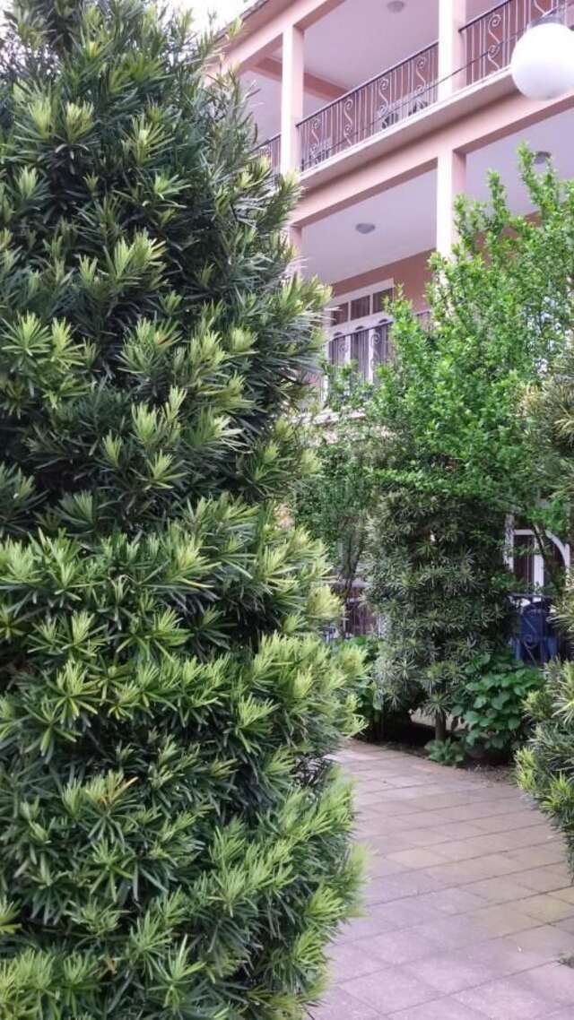 Отель Отель Саване Кобулети-24