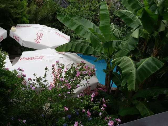 Отель Отель Саване Кобулети-35