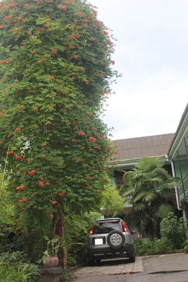 Отель Отель Саване Кобулети-45