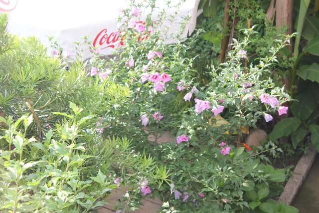 Отель Отель Саване Кобулети-46